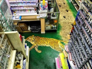 LEOPARD1